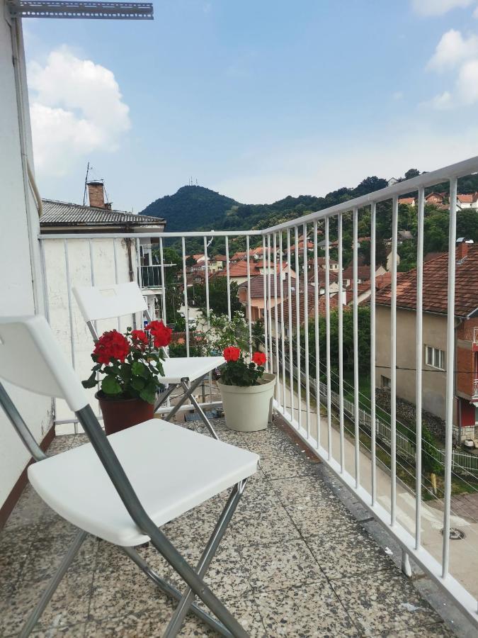 Faris Apartment Donji Milanovac Exterior photo